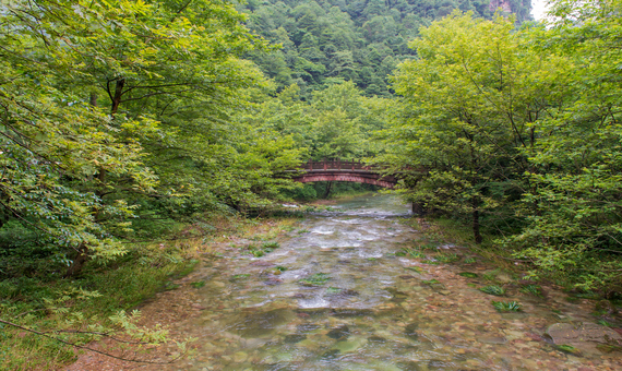 水繞四門